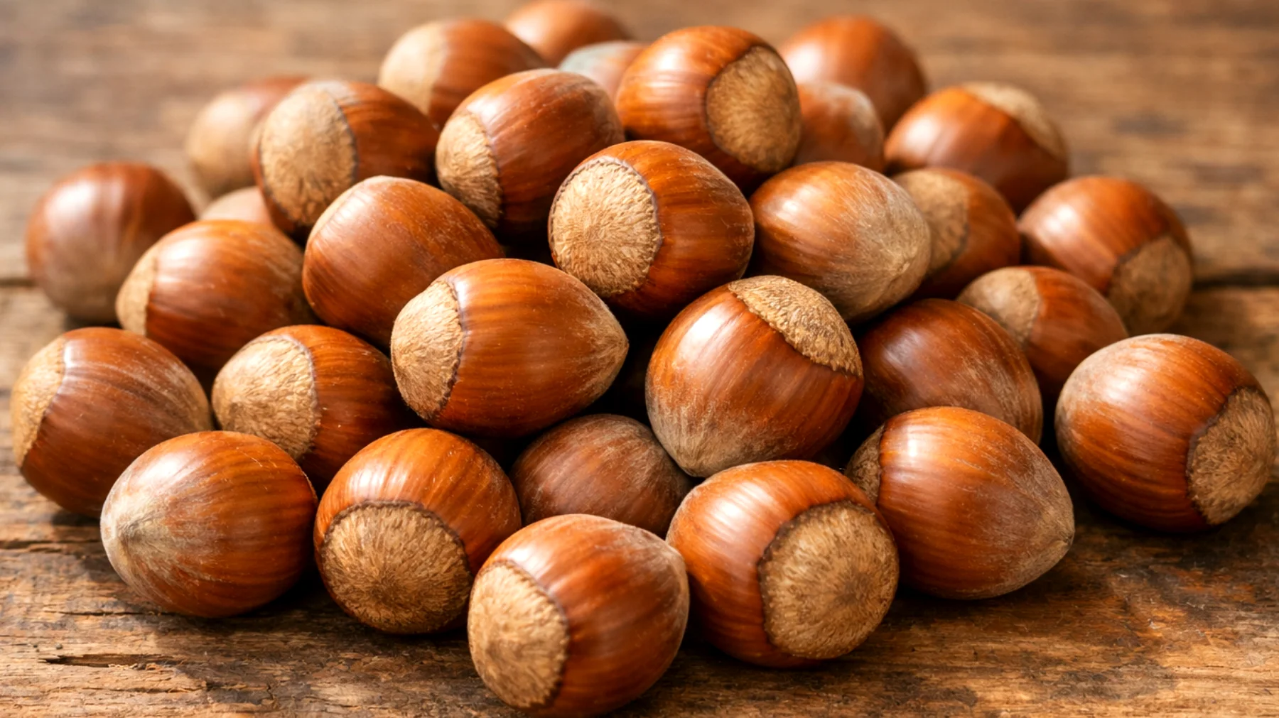 Perché le nocciole si chiamano così, chi le ha portate sulle nostre tavole e la storia poco conosciuta della loro diffusione in Italia"